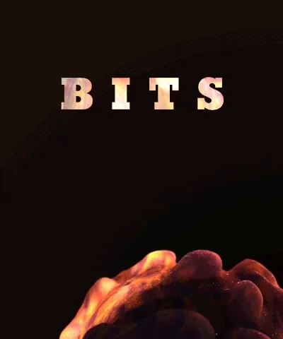 Bits